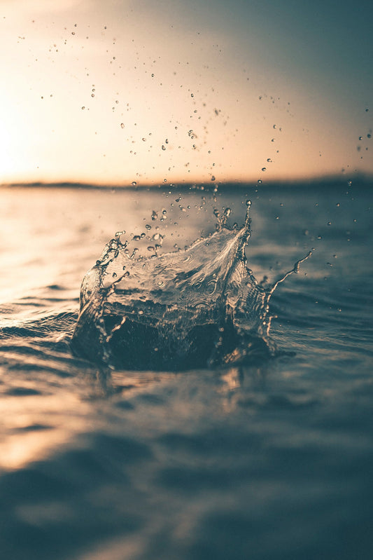 Unlocking wellness: 7 lifestyle medicine pillars