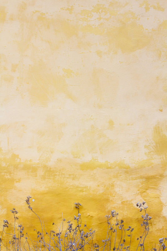 How art and beauty boost wellness