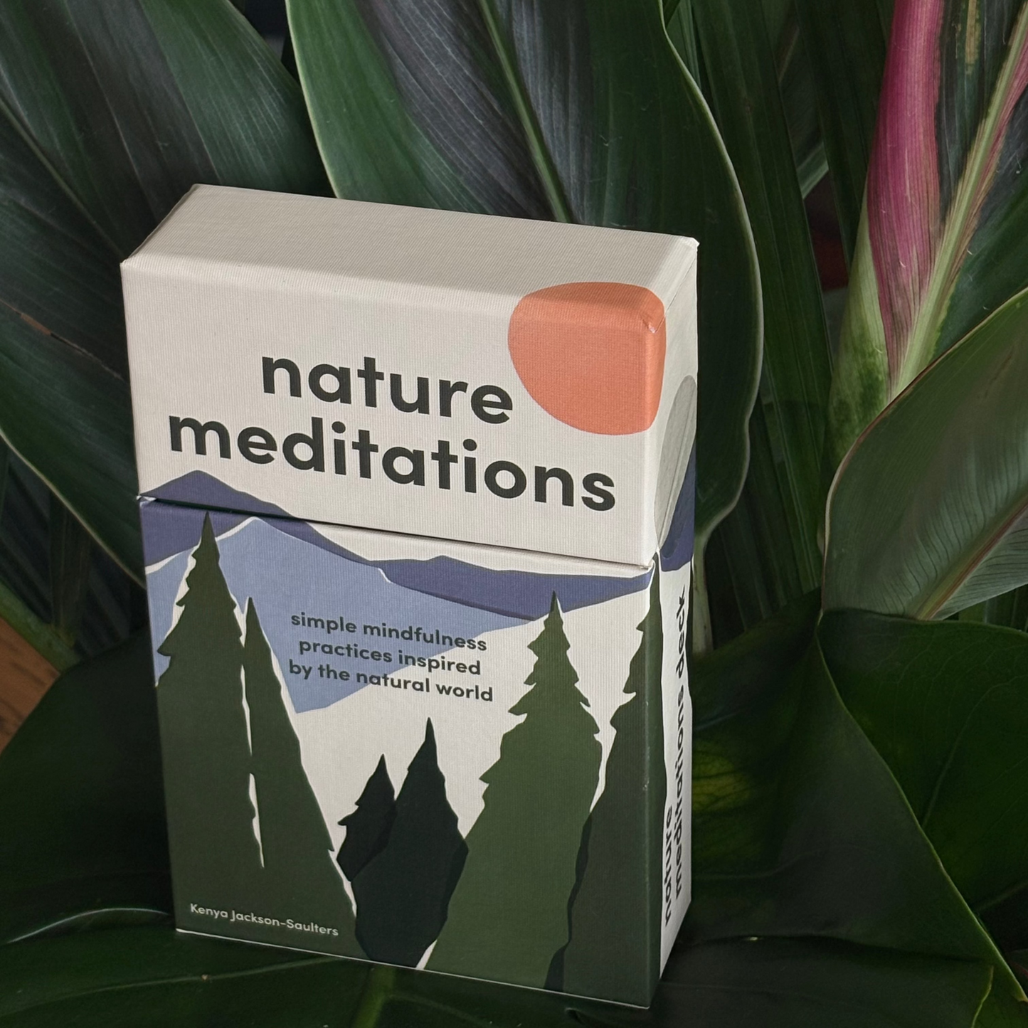 Simple mindfulness practices inspired by the natural world